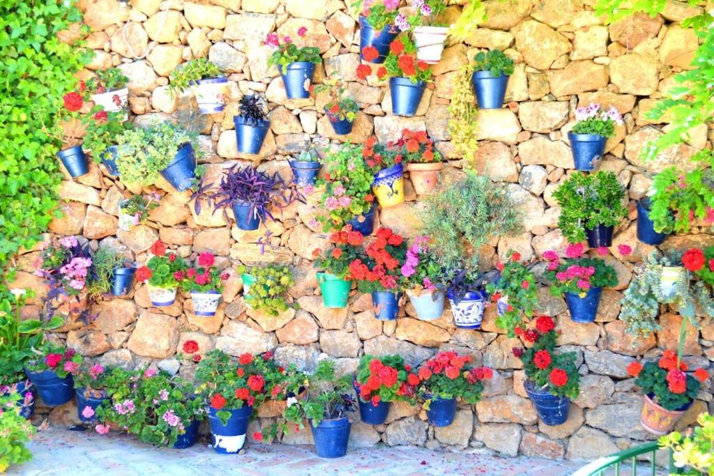 Casita Tranquila Villa Almería Eksteriør bilde
